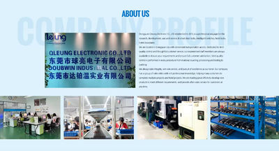 Dongguan Qleung Electronic Co., Ltd.