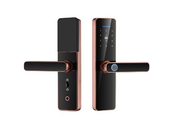 S811 Fingerprint Door Lock Intelligent Digital Code Door Lock