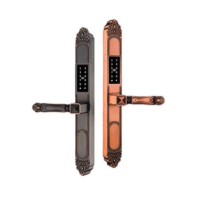 Multi-function Zinc Alloy Outdoor Door Lock with Double Side Fingerprint and Sunscreen