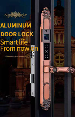 Multi-function Zinc Alloy Outdoor Door Lock with Double Side Fingerprint and Sunscreen