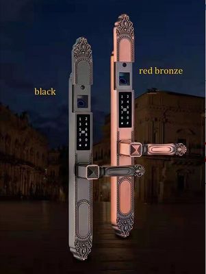 Multi-function Zinc Alloy Outdoor Door Lock with Double Side Fingerprint and Sunscreen