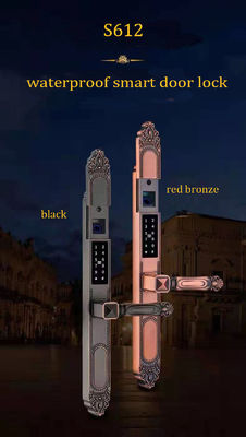 Multi-function Zinc Alloy Outdoor Door Lock with Double Side Fingerprint and Sunscreen