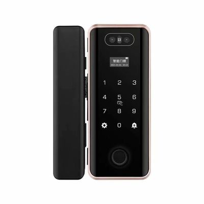 G5S Face Recognition Fingerprint Card Passcode Electronic Glass Door Lock for Office