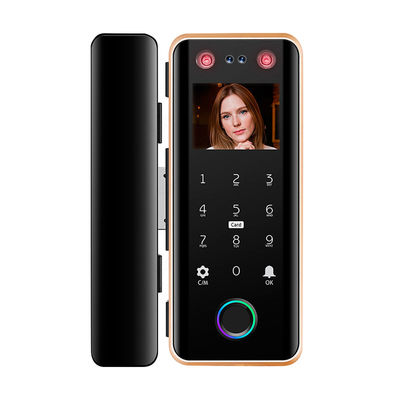 G5S Face Recognition Fingerprint Card Passcode Electronic Glass Door Lock for Office