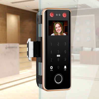 G5S Face Recognition Fingerprint Card Passcode Electronic Glass Door Lock for Office