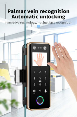 G5S Face Recognition Fingerprint Card Passcode Electronic Glass Door Lock for Office