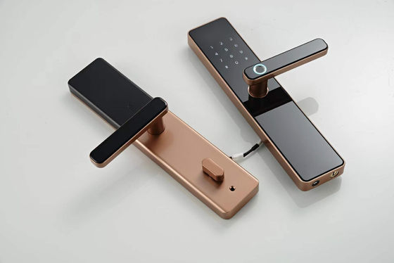 Tuya Wifi App and TT Lock App Controlled Digital Door Lock with Multiple Unlock Ways