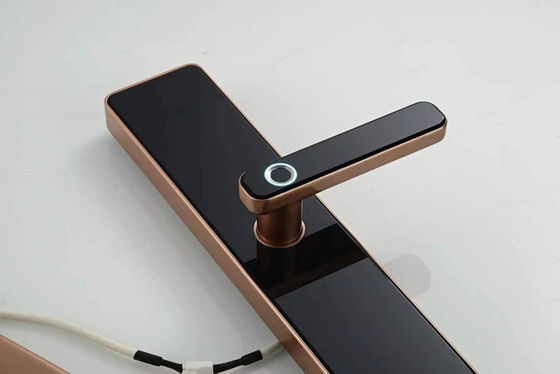Tuya Wifi App and TT Lock App Controlled Digital Door Lock with Multiple Unlock Ways