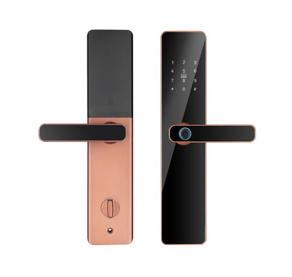 Office Biometric Fingerprint Password Key Card WIFI BLE Intelligent Door Lock Qleung S819