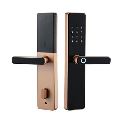 Black/Red Bronze Zinc Alloy Tempered Glass Digital Fingerprint Passcode Door Lock