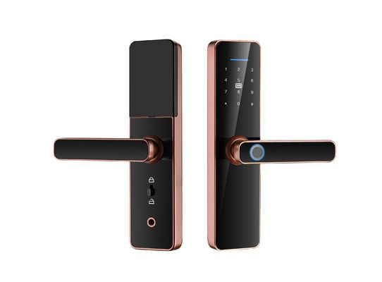 QLEUNG Tuya Wifi TTlock App Digital Locks Advanced Fingerprint Door Lock with RFID Card