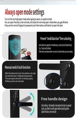 Intelligent Access Control Door Lock S819 with Tuya TTlock and Remote Control