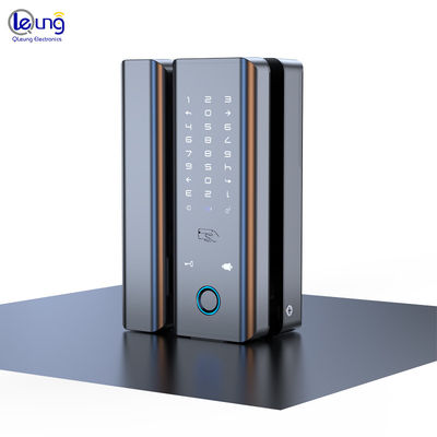 Upgrade Your Security Tuya Wifi Biometric Lock for Home Hotel Apartments and Office