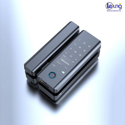 Upgrade Your Security Tuya Wifi Biometric Lock for Home Hotel Apartments and Office