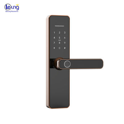 Smart Life Tuya Wifi Lock WiFi TTlock BLE Unlock Steel Door with Password Fingerprint