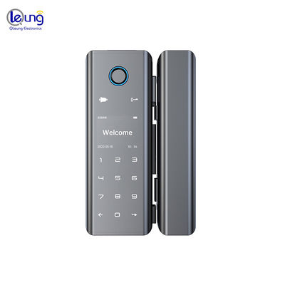 Black Glass Digital Door Lock with Smart Tuya Wifi and Security Fingerprint