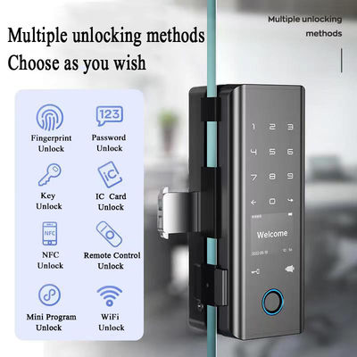 Black Glass Digital Door Lock with Smart Tuya Wifi and Security Fingerprint