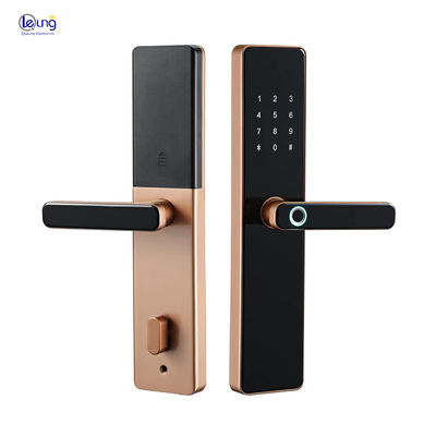 WiFi Tuya TTlock Smart Lock Door with Cloud Storage and Digital Password Key Card