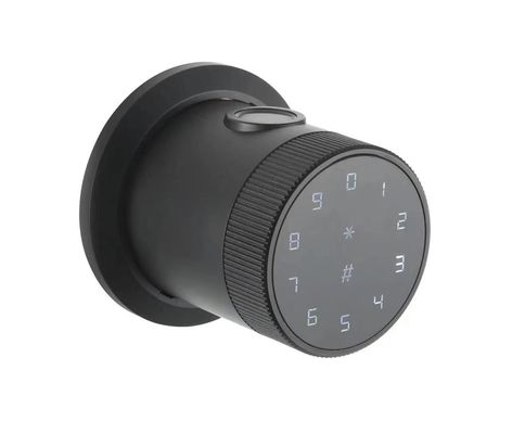 Smart WiFi Tuya App Fingerprint Keyless Intelligent Digital Door Lock