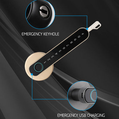 Aluminum Door Keyless Smart Digital Door Lock with Tuya App Passcode and TTlock Control