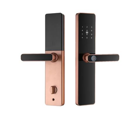 S819 Smart Fingerprint Locks Zigbee Biometric Door Locks For Home