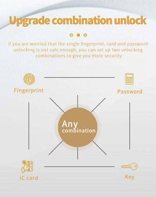 Luxury IP68 Waterproof Digital Lock TTlock APP Password Fingerprint Locks
