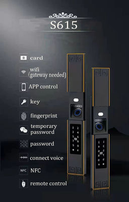 Luxury IP68 Waterproof Digital Lock TTlock APP Password Fingerprint Locks