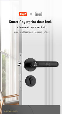 NFC Card Smart Door Knob S607L Intelligent Tuya Bluetooth Fingerprint Door Handle