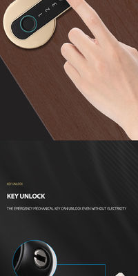 Black Tuya BLE Biometric Fingerprint Door Lock S604L Keyless Entry Door Lock