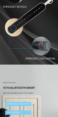 Black Tuya BLE Biometric Fingerprint Door Lock S604L Keyless Entry Door Lock