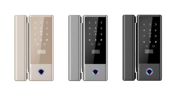 Biometric Smart Sliding Glass Door Lock G10S Advanced Intelligent Door Lock