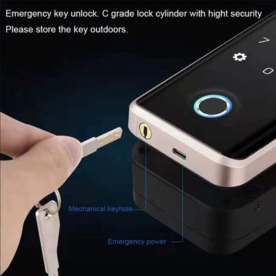 3D Face Recognition Electronic Glass Door Lock Fingerprint Password Lock
