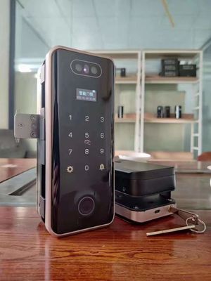 3D Face Recognition Electronic Glass Door Lock Fingerprint Password Lock