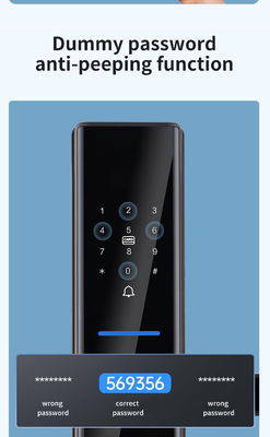 Black Biometric Fingerprint Door Locks Tuya TTlock Electronic Digital Door Locks