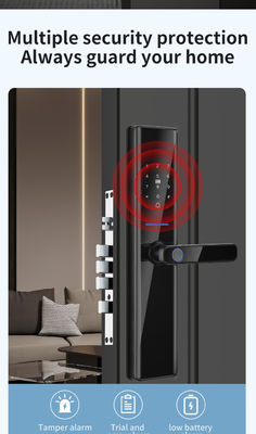 Black Biometric Fingerprint Door Locks Tuya TTlock Electronic Digital Door Locks
