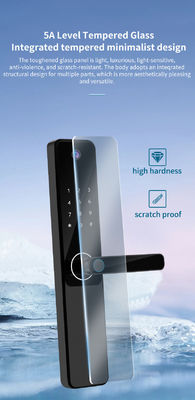 9 Language Electronic Door Locks Bluetooth Keyless Entry Door Lock