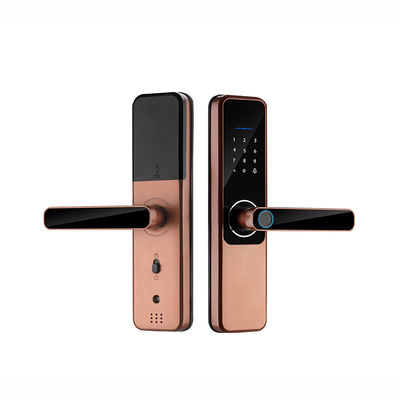 Unlock Method Tuya TTlock Password Fingerprint Smart Locks For Home