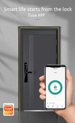 Steel Door Wifi Fingerprint Lock S819-2 Digital Password Lock For Apartment