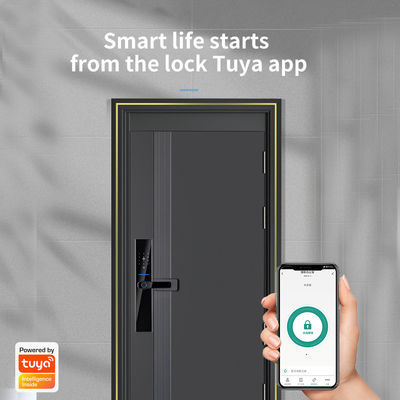 Steel Door Wifi Fingerprint Lock S819-2 Digital Password Lock For Apartment