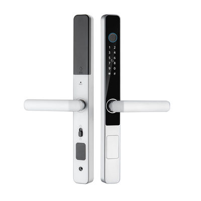 TTlock Tuya Unlock Biometric Lock S608 Zinc Alloy IP65 Waterproof Smart Lock