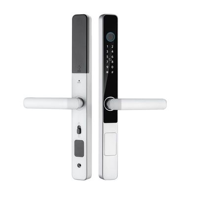 IP65 Waterproof Smart Tuya Wifi Remote Control TTlock App Digital Door Lock