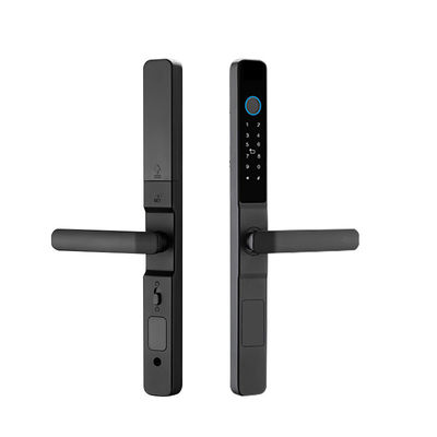 Waterproof IP65 Smart Lock for Office Tuya WIFI TTlock APP Black Silver Handle Intelligent Lock for Sliding Door