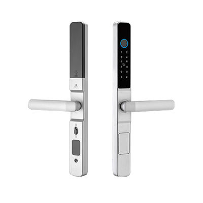 Waterproof IP65 Smart Lock for Office Tuya WIFI TTlock APP Black Silver Handle Intelligent Lock for Sliding Door