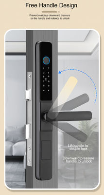 Waterproof IP65 Smart Lock for Office Tuya WIFI TTlock APP Black Silver Handle Intelligent Lock for Sliding Door