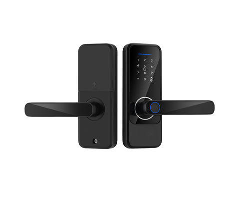 Tuya TTlock Biometric Interior Door Locks S810 Auto Door Locks For Home