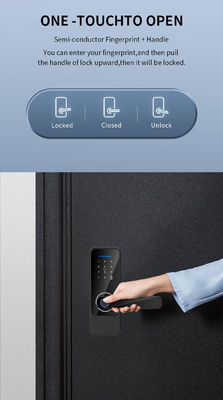 Tuya TTlock Biometric Interior Door Locks S810 Auto Door Locks For Home