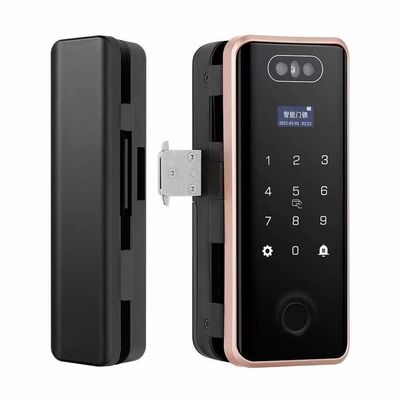 Glass Face Recognition Door Lock Fingerprint Password Tuya Wifi Lock For Office