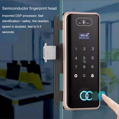 Glass Face Recognition Door Lock Fingerprint Password Tuya Wifi Lock For Office