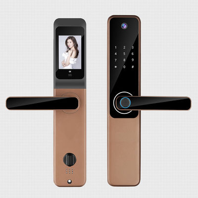 Cloud Storage Weather Proof Smart Lock Wireless Electronic Door Locks For Homes
