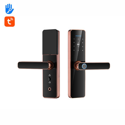 Intelligent Password Fingerprint Door Lock TTlock Auto Door Locks For Home